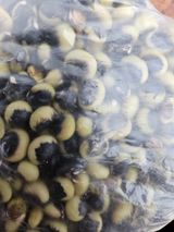 팜모닝 농사, 무엇이든 물어보세요!·참여글 게시글 이미지