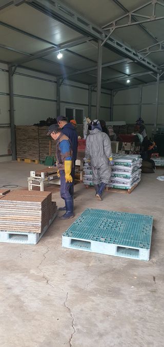 명황성님의 벼 · 자유게시판 작성글 사진