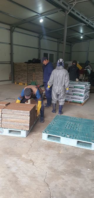 명황성님의 벼 · 자유게시판 작성글 사진