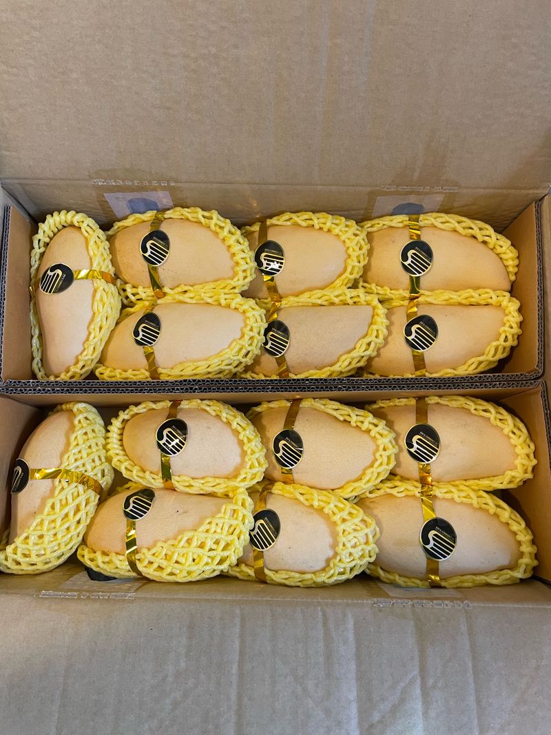 장터 상품 [태국산 망고 5kg 12-16수] 썸네일