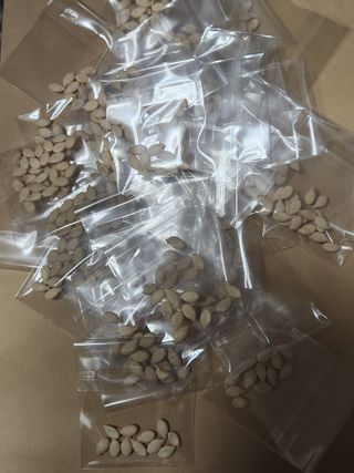 退役軍人 劉永喆님의 자유주제 · 자유게시판 작성글 사진