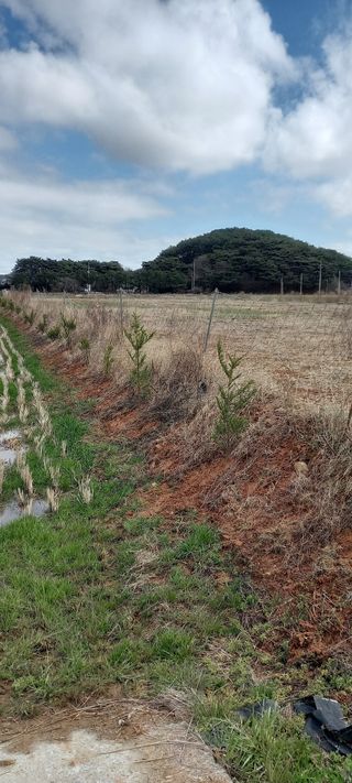 윤충기님의 자유주제 · 사진전 작성글 사진