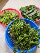 팜모닝 자유주제·자유게시판 게시글 이미지