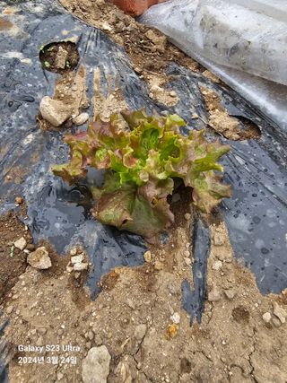 강성열님의 자유주제 · 사진전 작성글 사진