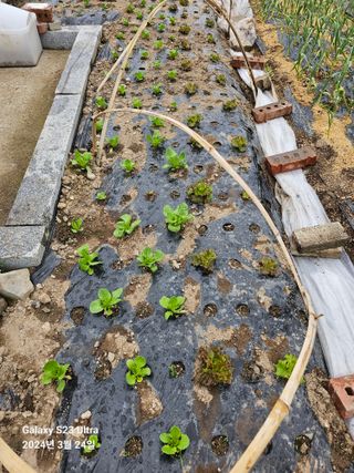 강성열님의 자유주제 · 사진전 작성글 사진