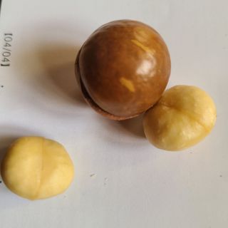 knlee님의 자유주제 · 자유게시판 작성글 사진