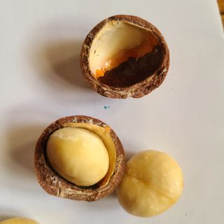 knlee님의 자유주제 · 자유게시판 작성글 사진