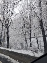 팜모닝 자유주제·자유게시판 게시글 이미지