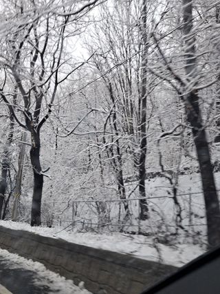 봄봄농원님의 자유주제 · 자유게시판 작성글 사진