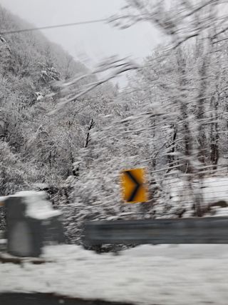 봄봄농원님의 자유주제 · 자유게시판 작성글 사진