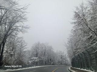 봄봄농원님의 자유주제 · 자유게시판 작성글 사진