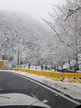 봄봄농원님의 자유주제 · 자유게시판 작성글 사진