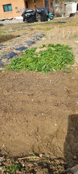 팜모닝 4월 농사계획 공유해요·참여글 게시글 이미지