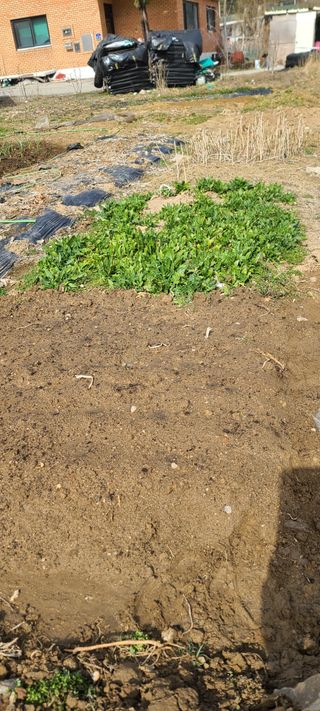 리윤구님의 4월 농사계획 공유해요 · 참여글 작성글 사진