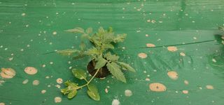 최창순님의 자유주제 · 자유게시판 작성글 사진