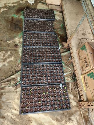 정미경님의 자유주제 · 자유게시판 작성글 사진