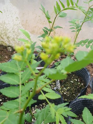 허굴산농장님의 자유주제 · 자유게시판 작성글 사진