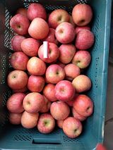 팜모닝 · 게시글 이미지