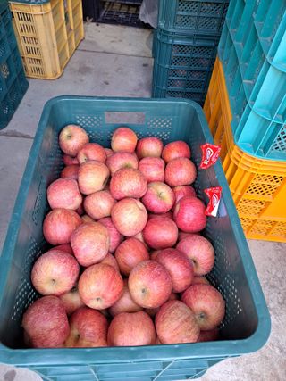 박수정님의 작성글 사진