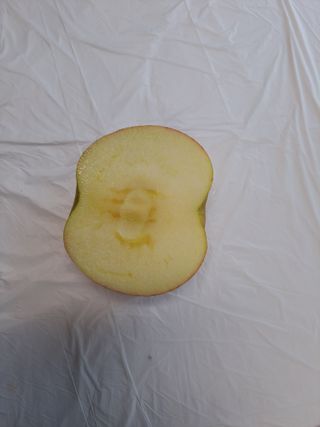 박수정님의 작성글 사진