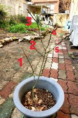 팜모닝 자유주제·자유게시판 게시글 이미지