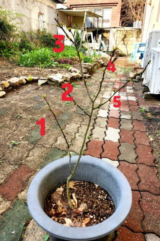 지훈님의 자유주제 · 자유게시판 작성글 사진