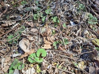 푸른오이님의 작성글 사진