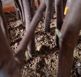 팜모닝 자유주제·자유게시판 게시글 이미지