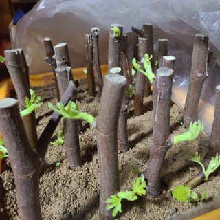 knlee님의 자유주제 · 자유게시판 작성글 사진