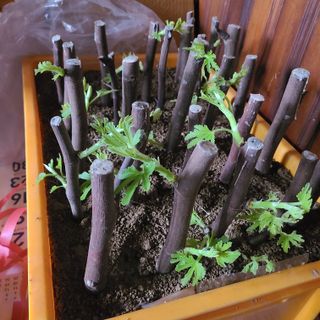 knlee님의 자유주제 · 자유게시판 작성글 사진