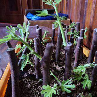 knlee님의 자유주제 · 자유게시판 작성글 사진