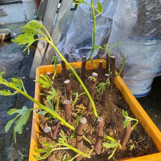 knlee님의 자유주제 · 자유게시판 작성글 사진