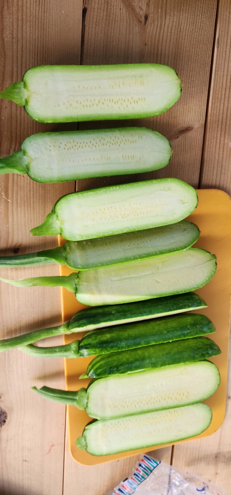 김기태님의 장터 판매 상품 [무농약 애호박] 첨부 사진