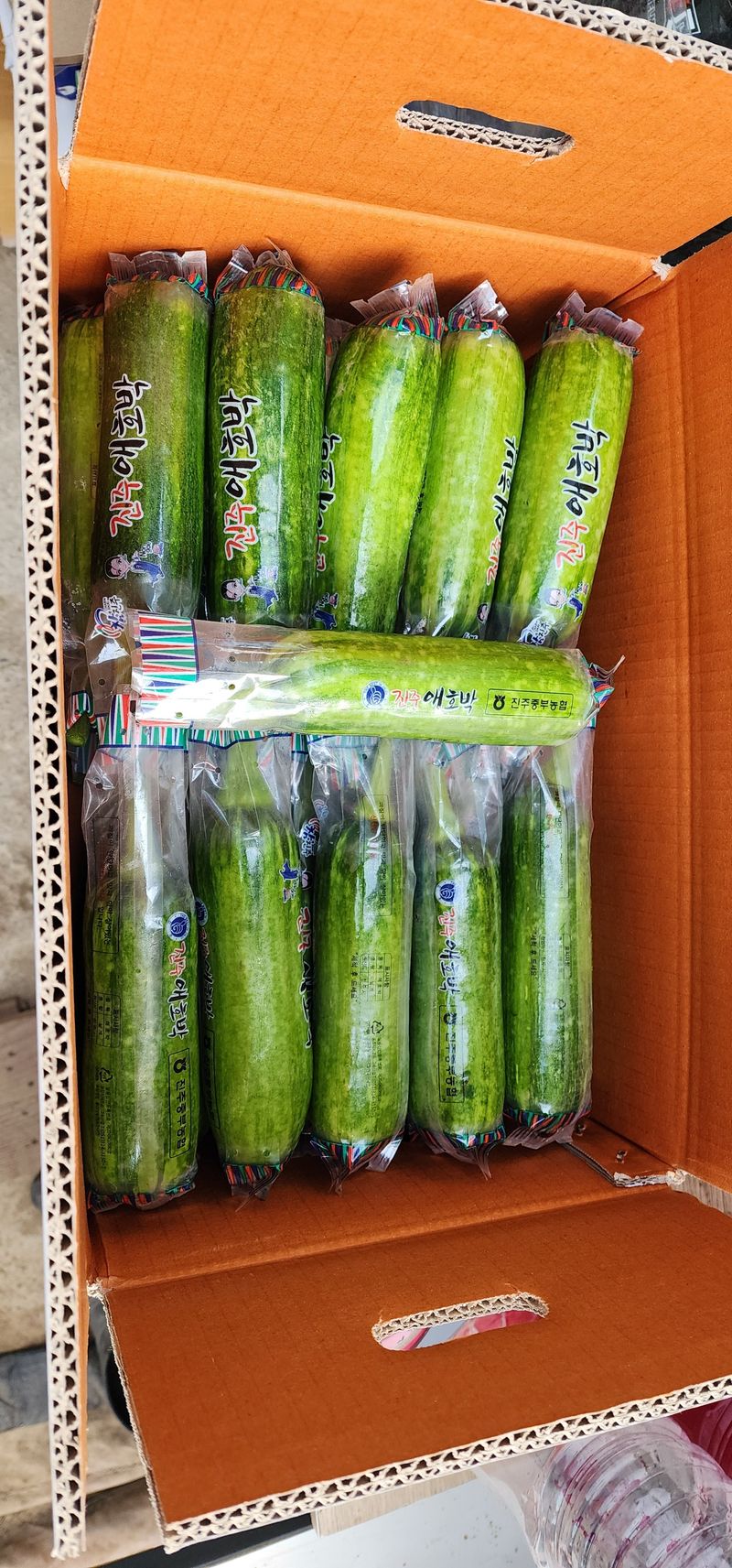김기태님의 장터 판매 상품 [무농약 애호박] 첨부 사진