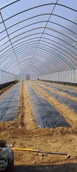 팜모닝 호박·영농일지 게시글 이미지