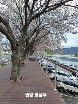 김대업님의 자유주제 · 자유게시판 작성글 사진