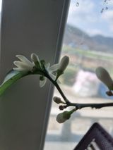 팜모닝 자유주제·칭찬해요 게시글 이미지