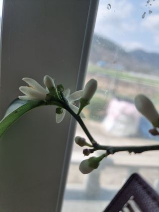 김석중님의 자유주제 · 칭찬해요 작성글 사진