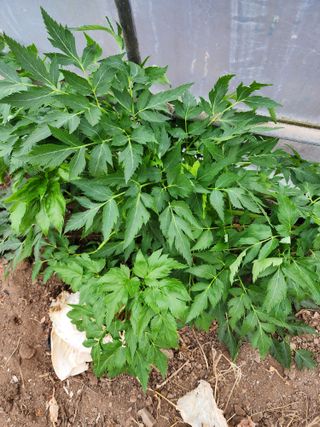 구자형님의 기타작물 · 자유게시판 작성글 사진