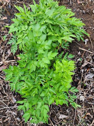 구자형님의 기타작물 · 자유게시판 작성글 사진