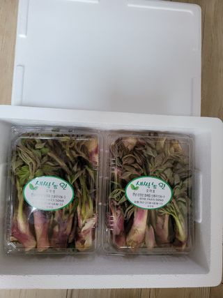 오아성님의 작성글 사진