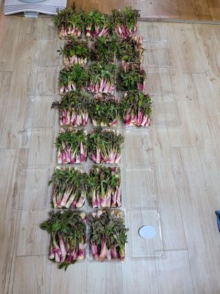 오아성님의 작성글 사진