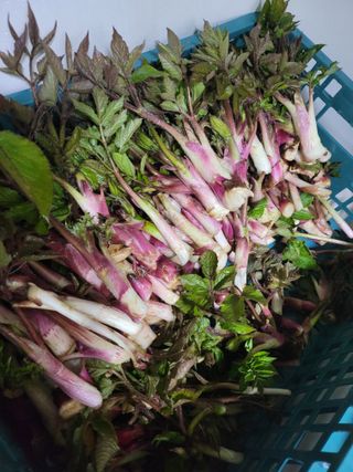 오아성님의 작성글 사진