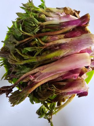 오아성님의 작성글 사진