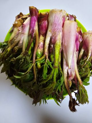 오아성님의 작성글 사진