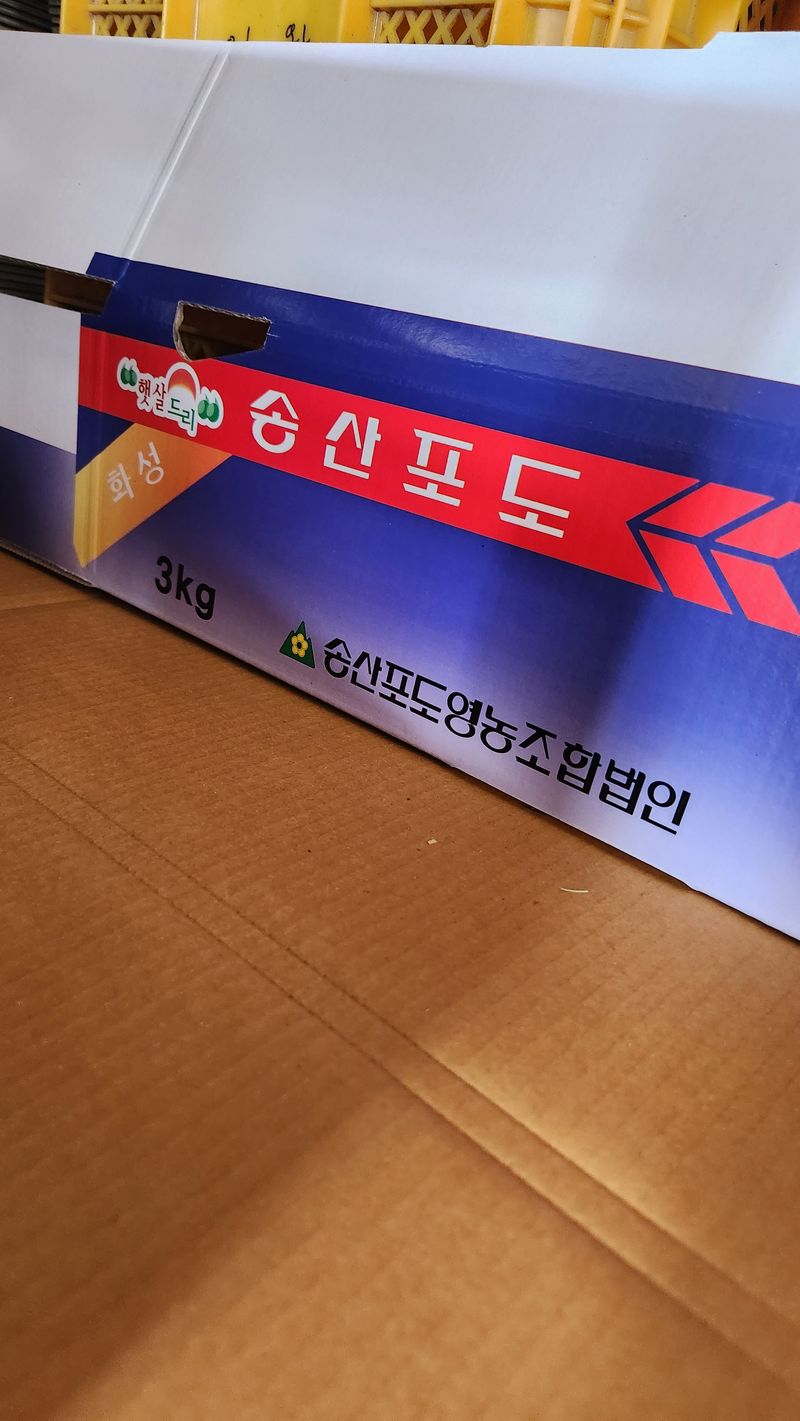 장터 상품 [포도박스1000box] 썸네일