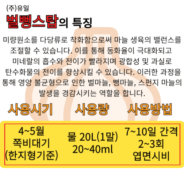 대산농사대장님의 장터 판매 상품 [(주) 유일  벌뻥스탑 벌마늘 [뻥마늘] 스펀지마늘 3병구매시  강력전착제 증정] 첨부 사진