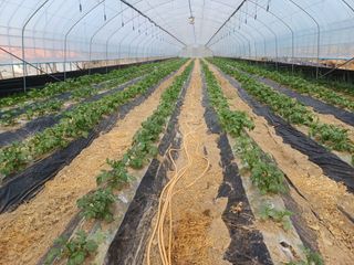 고영호님의 자유주제 · 자유게시판 작성글 사진