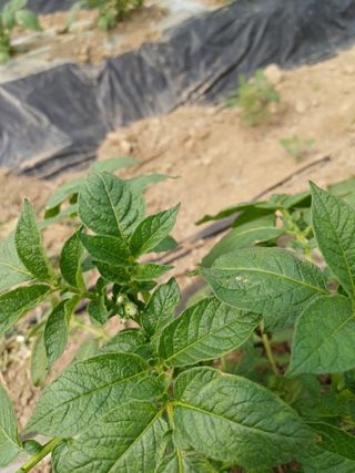 고영호님의 자유주제 · 자유게시판 작성글 사진