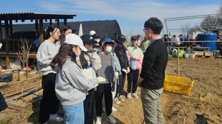 감자 고추11723님의 감자 · 영농일지 작성글 사진